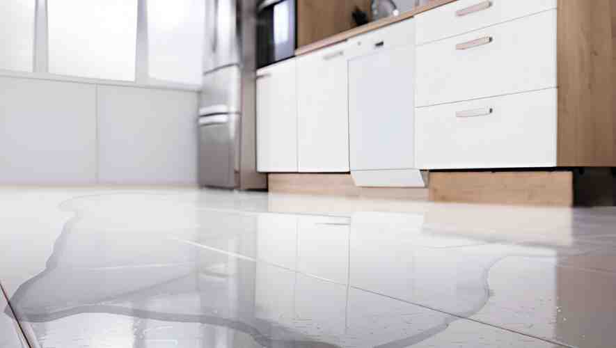 Step-by-Step Guide: How to Drain a Bosch Dishwasher with Standing Water?